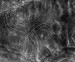 nazca-lines-mono.jpg